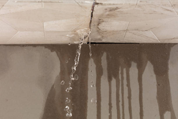 Professional Flood Damage Cleanup technician working in Rockford, MN